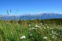 Hiking on the Renon in South Tyrol